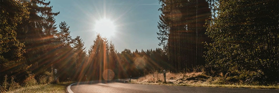 Summer Car Tips - Protecting Your Ford from Sun Damage